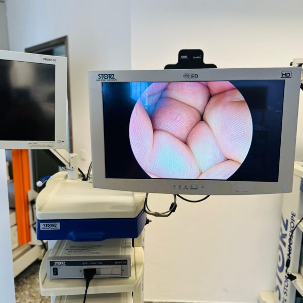 WhatsApp Bild 2025-08-22 um 12.45.38_2ee9c9d4